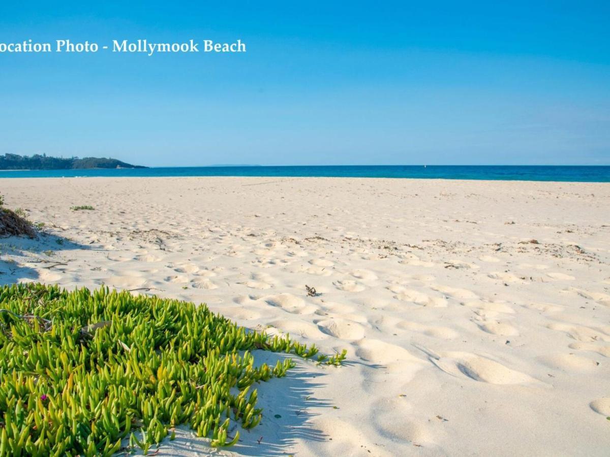 Mollymook Beach Haven Экстерьер фото